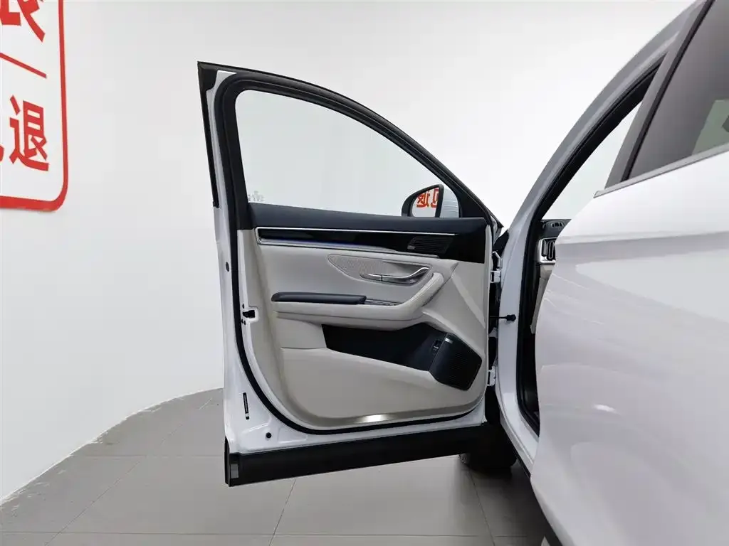 BYD PLUS New Energy — фото 3