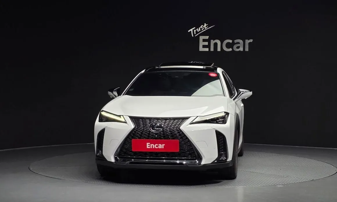 Lexus UX 2024 из KR, фото 6