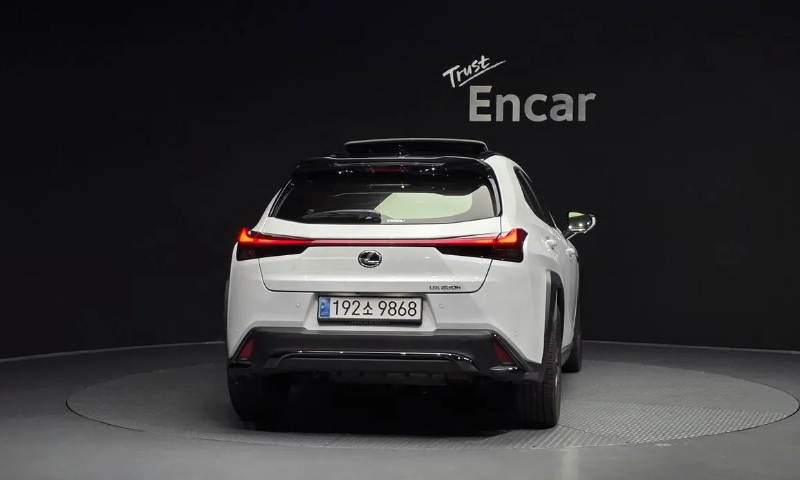 Lexus UX 2024 из KR, фото 2