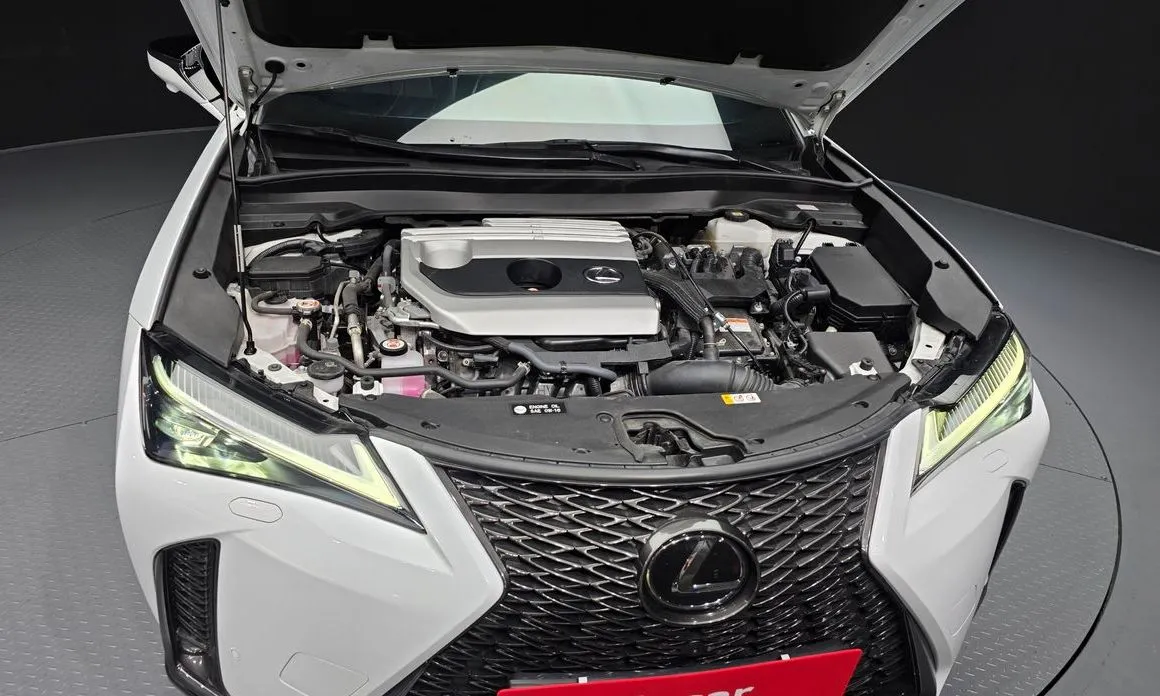 Lexus UX 2024 из KR, фото 8