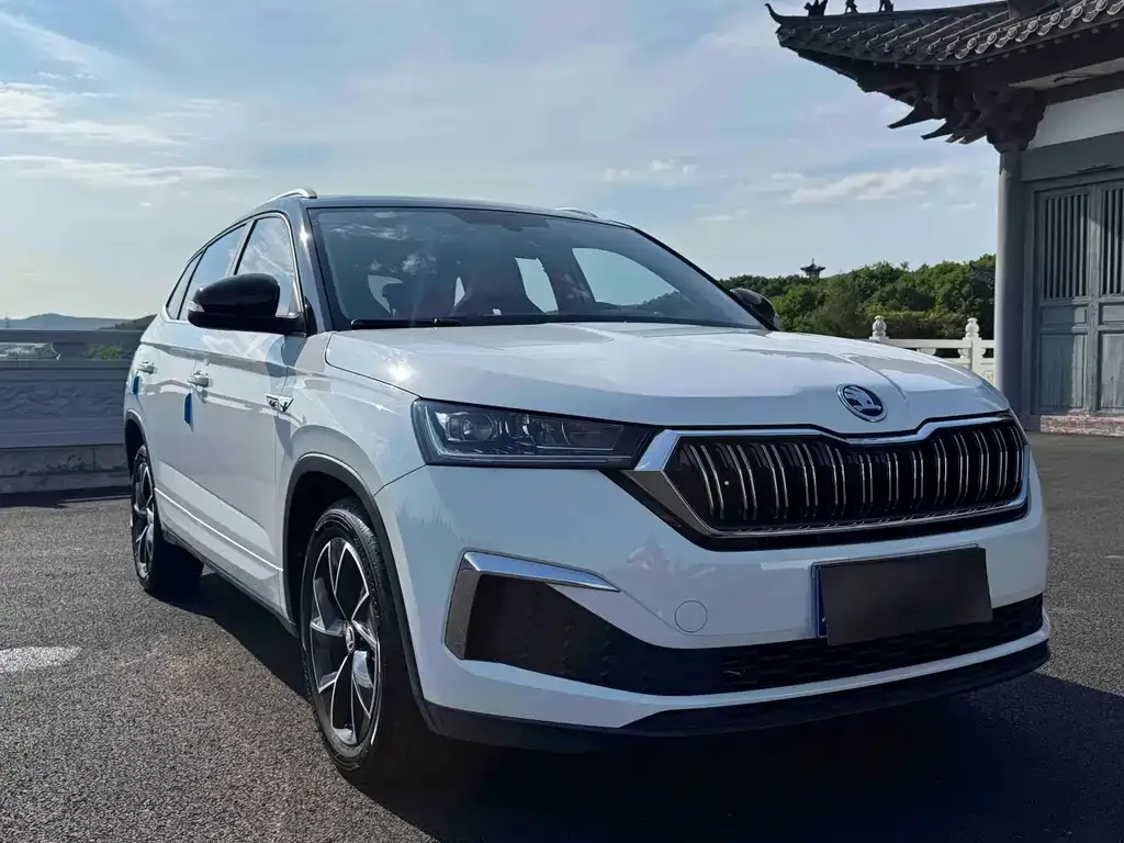 Skoda Kamiq — фото 4