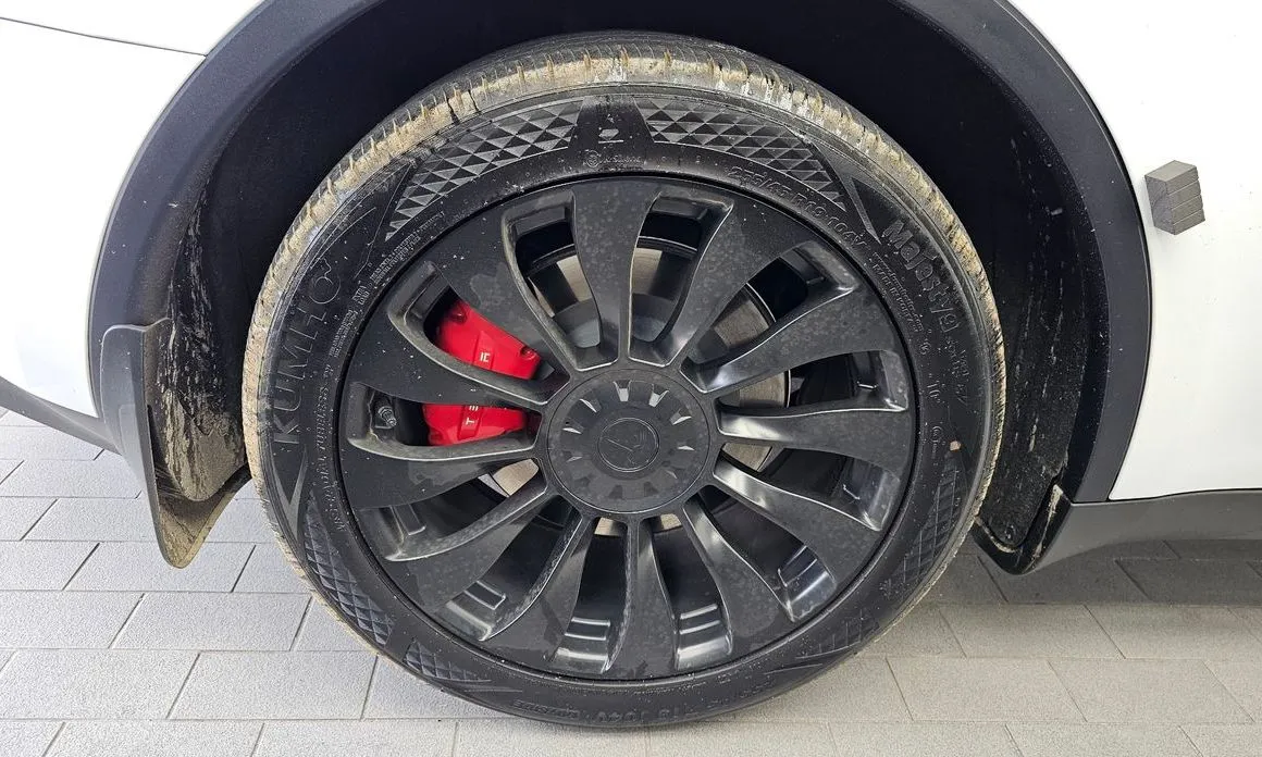 Tesla Model Y — фото 10