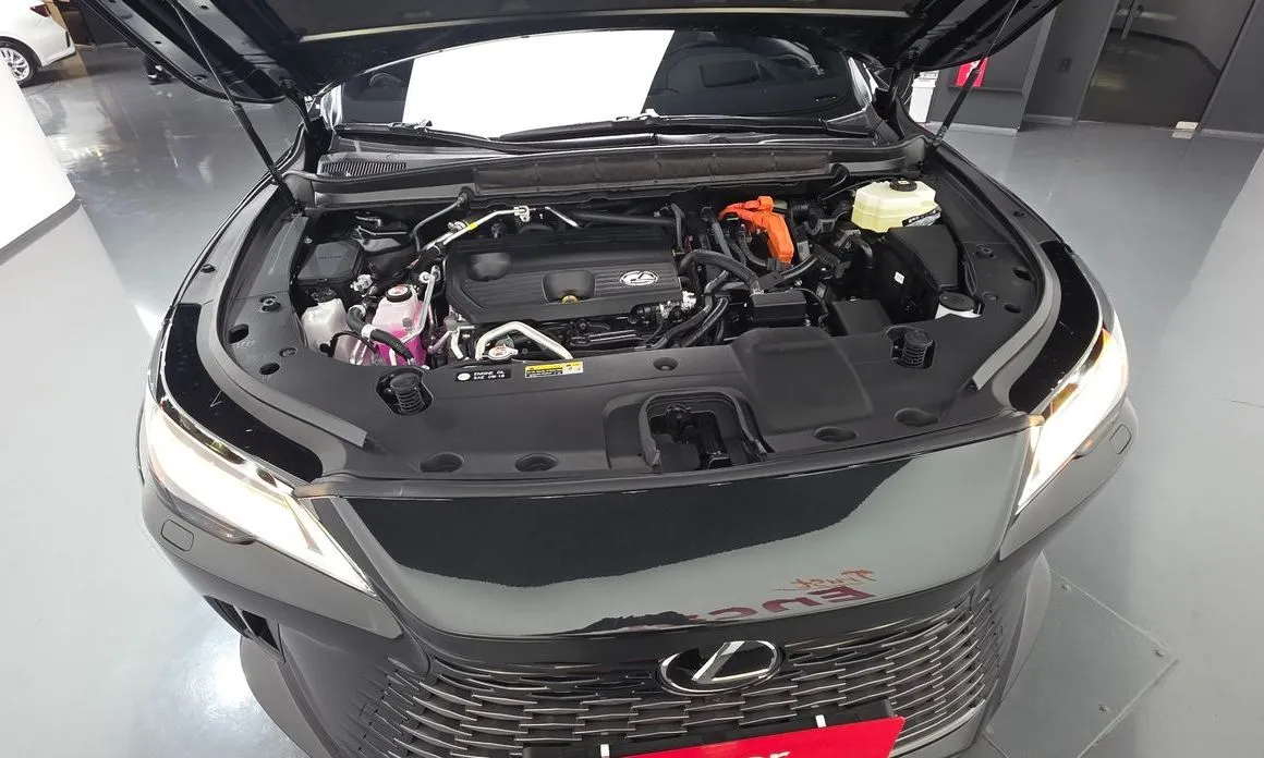 Lexus RX 2026 из KR, фото 8