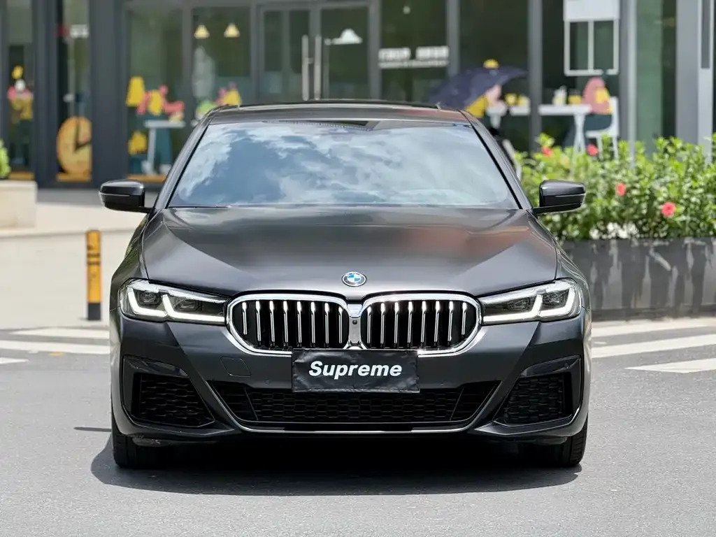BMW 5 Series (Import) — фото 6