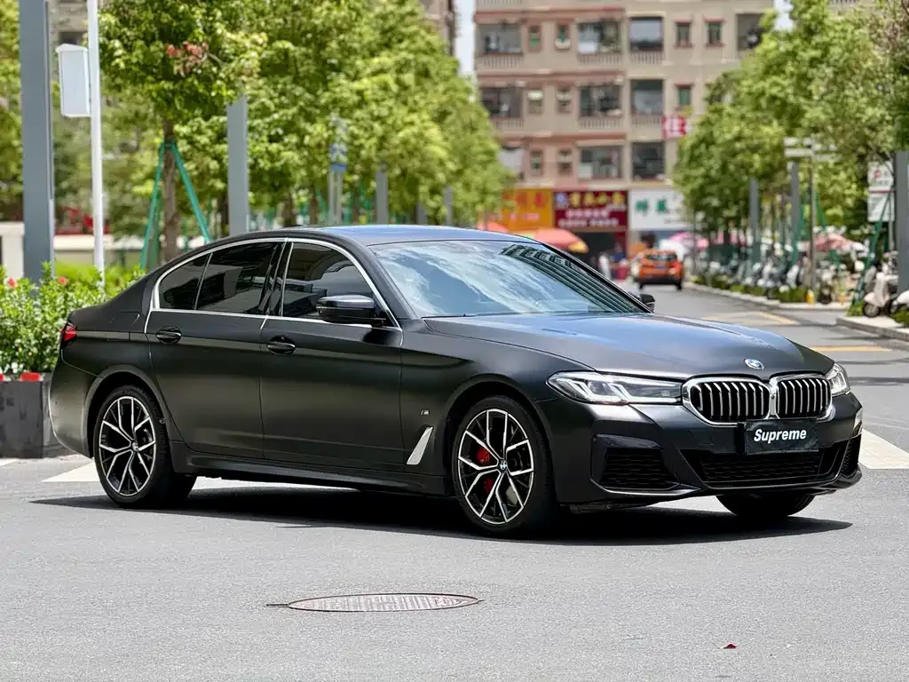 BMW 5 Series (Import) — фото 10