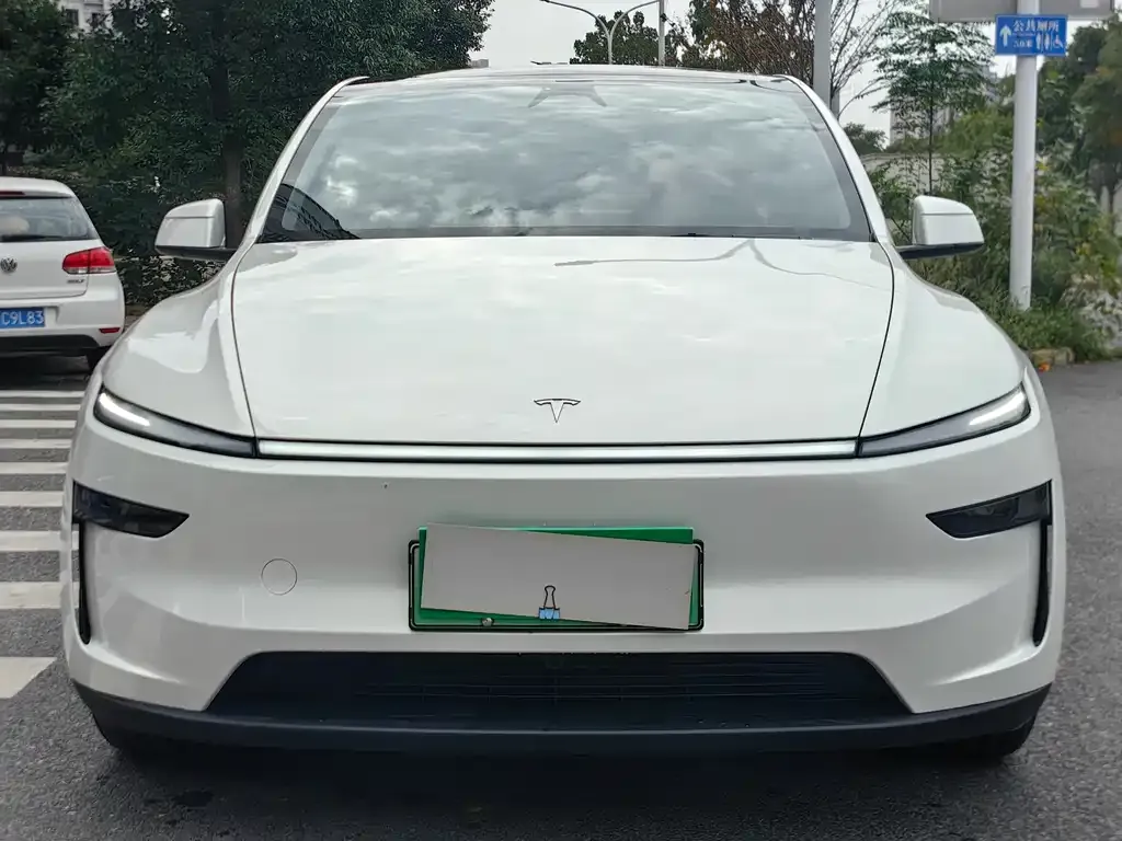 Tesla Model Y — фото 10