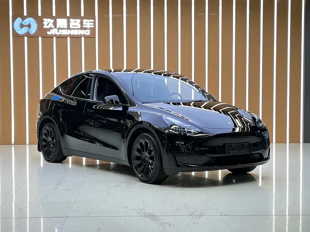 Tesla Model Y — фото 4