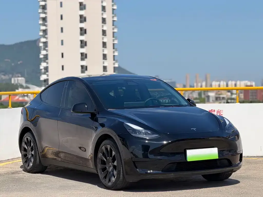 Tesla Model Y — фото 9