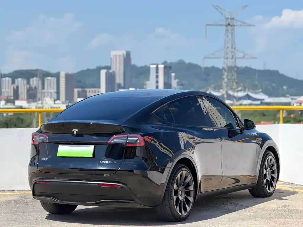 Tesla Model Y — фото 8