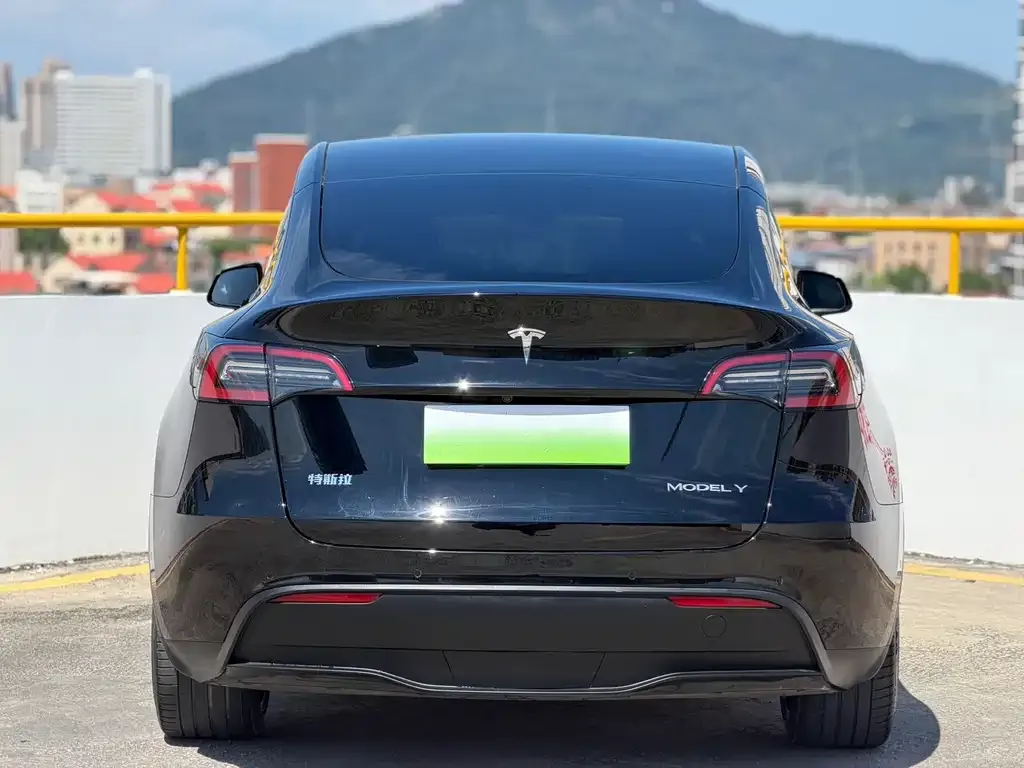 Tesla Model Y — фото 5