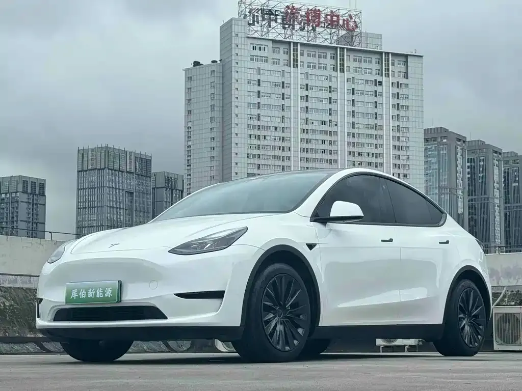 Tesla Model Y — фото 1