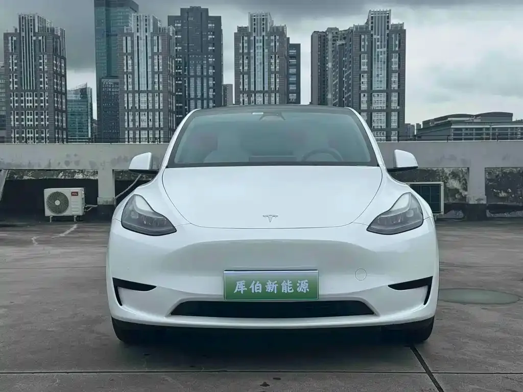 Tesla Model Y — фото 7