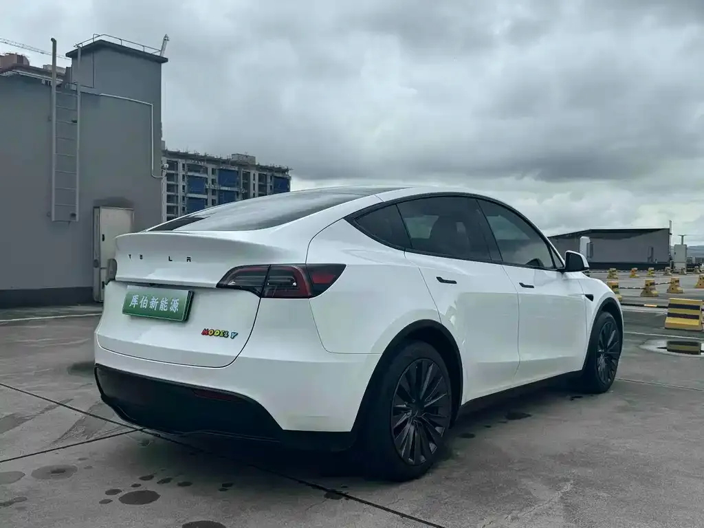Tesla Model Y — фото 3