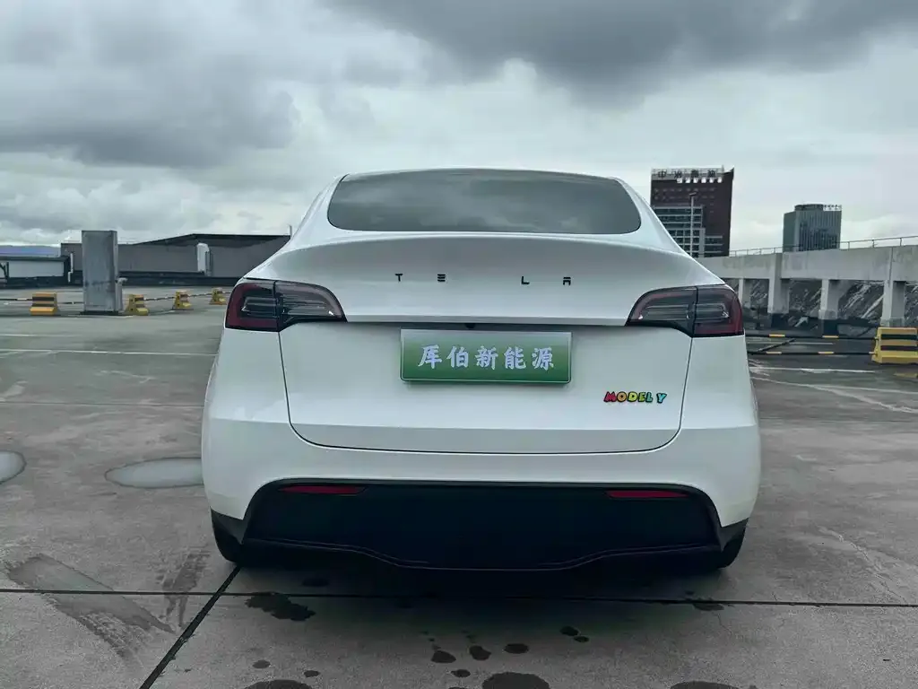 Tesla Model Y — фото 6