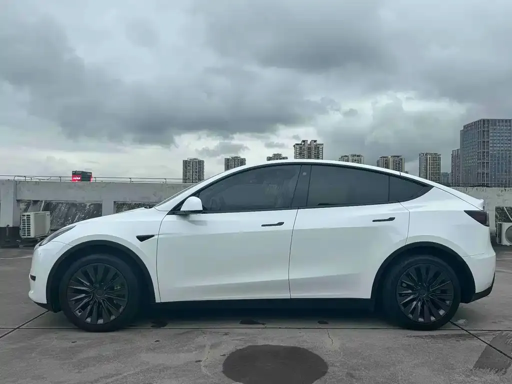 Tesla Model Y — фото 10