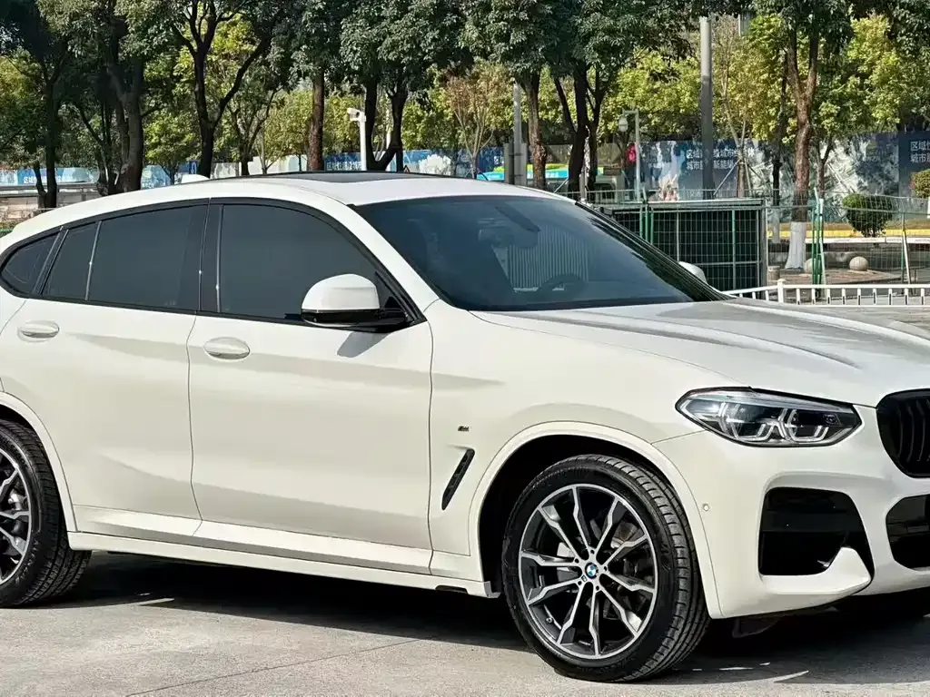 BMW X4 — фото 6
