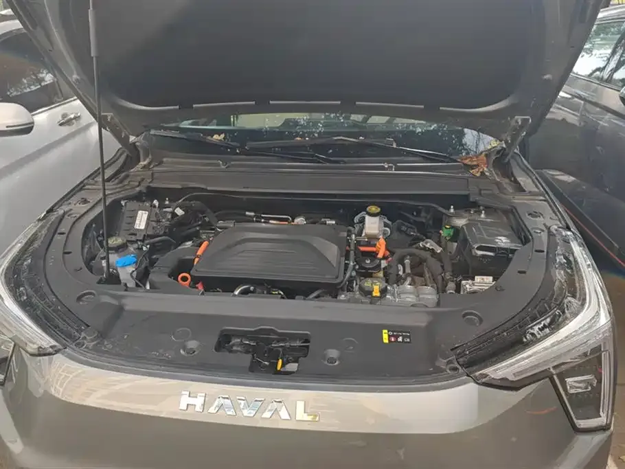 Haval Xiaolong 2023 из CN, фото 9