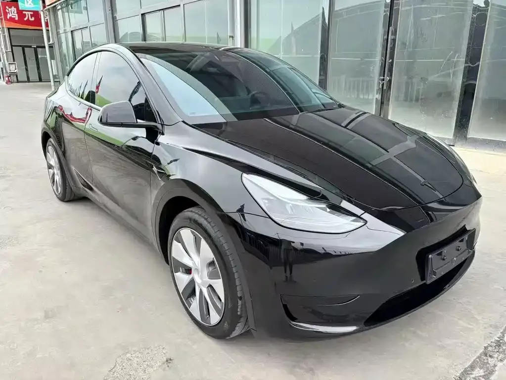 Tesla Model Y — фото 2