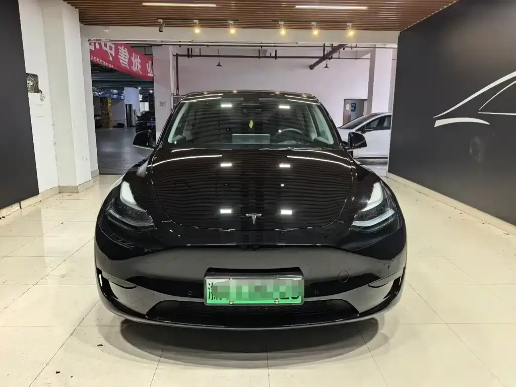 Tesla Model Y — фото 2
