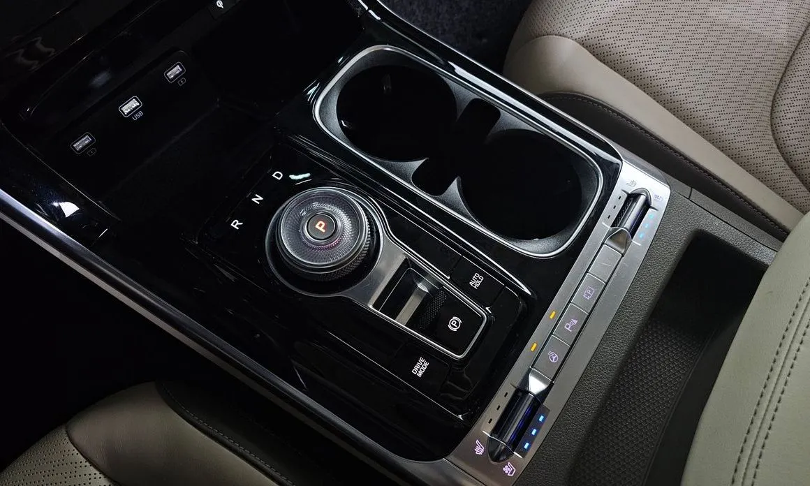 Kia Carnival — фото 9