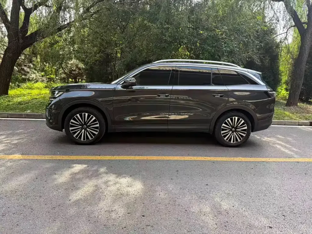 Volkswagen Tavendor 2023 из CN, фото 5