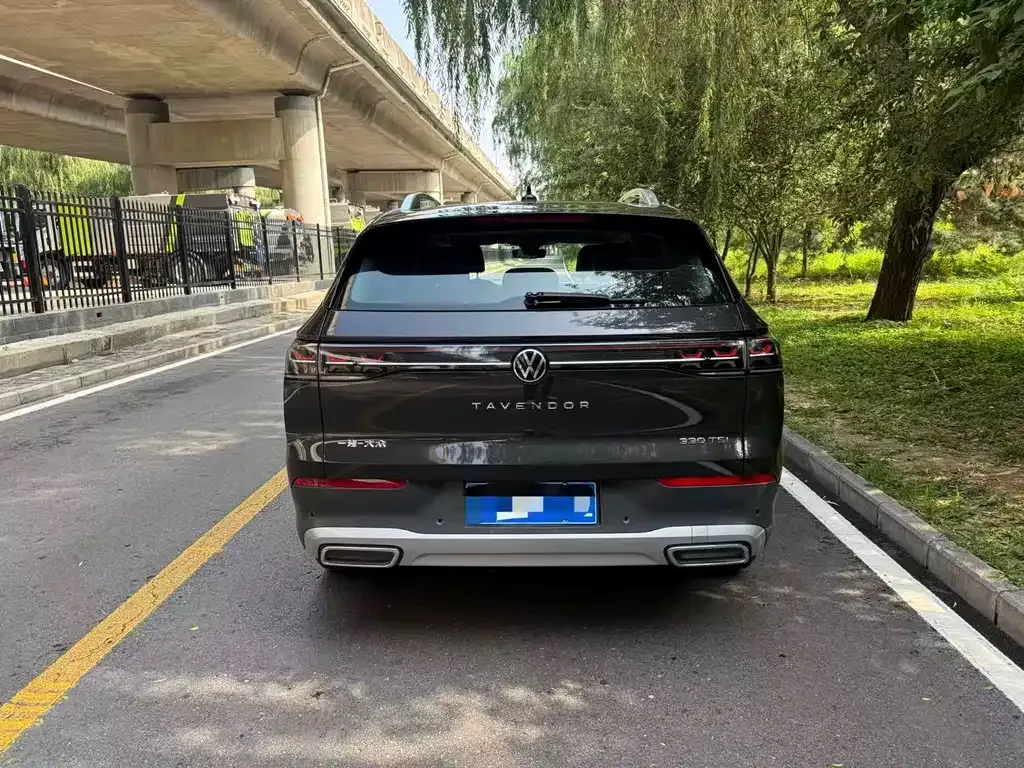 Volkswagen Tavendor 2023 из CN, фото 4