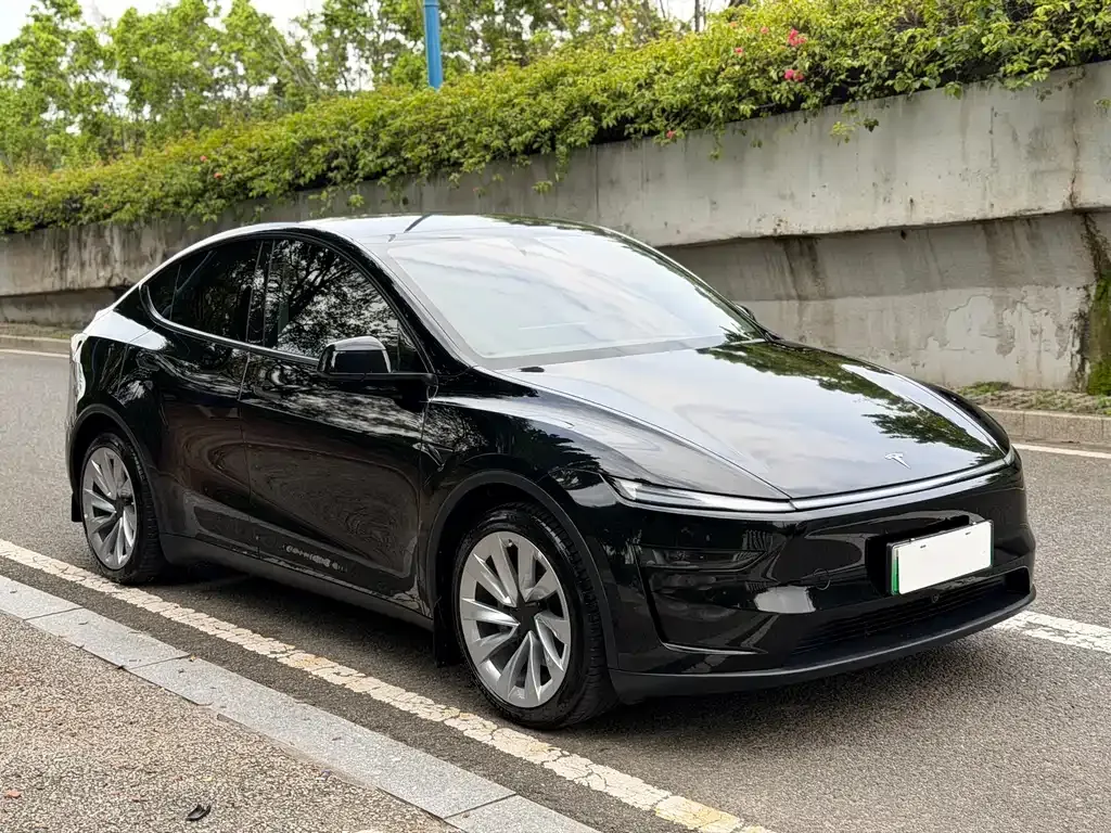 Tesla Model Y — фото 8