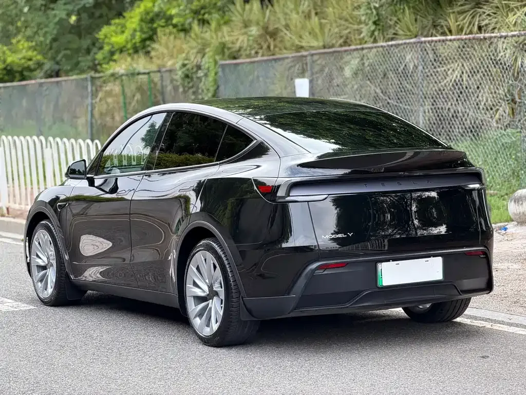 Tesla Model Y — фото 10