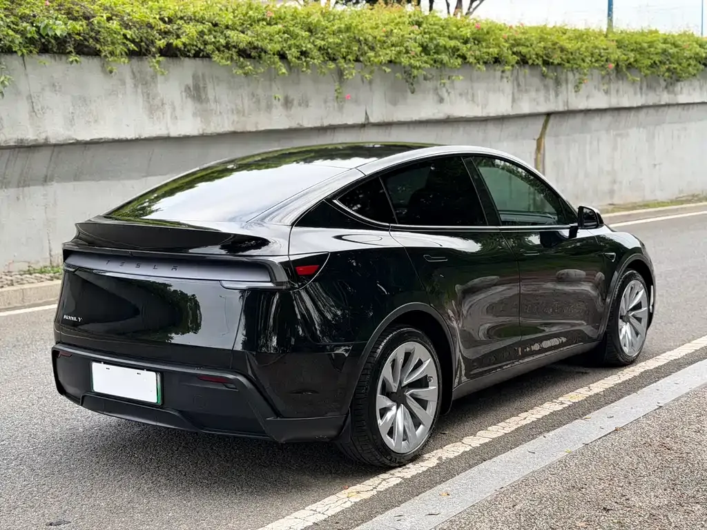 Tesla Model Y — фото 2