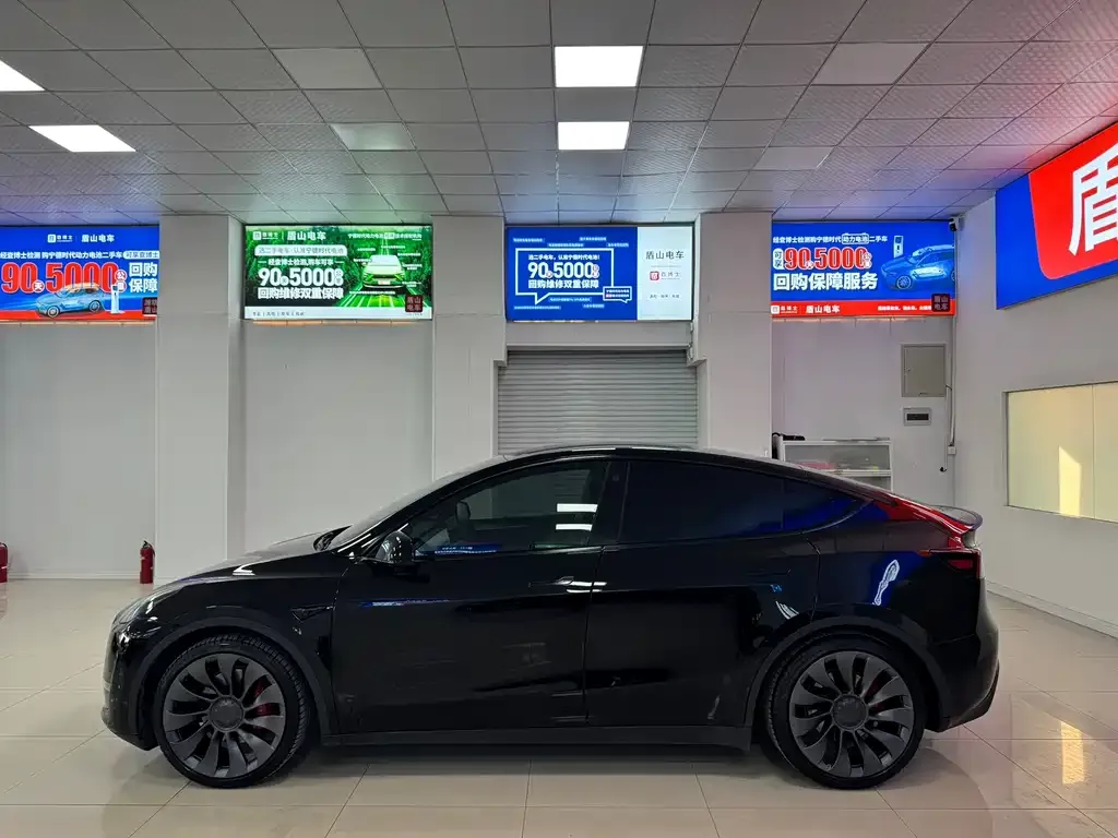Tesla Model Y — фото 3