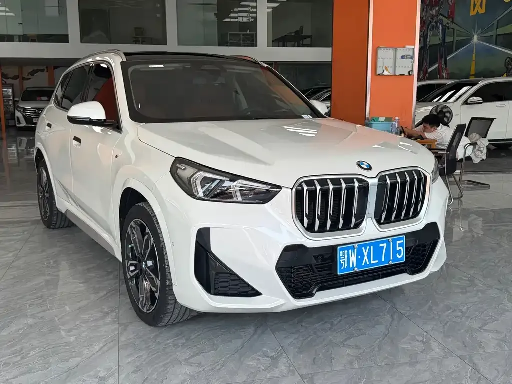 BMW X1 — фото 10