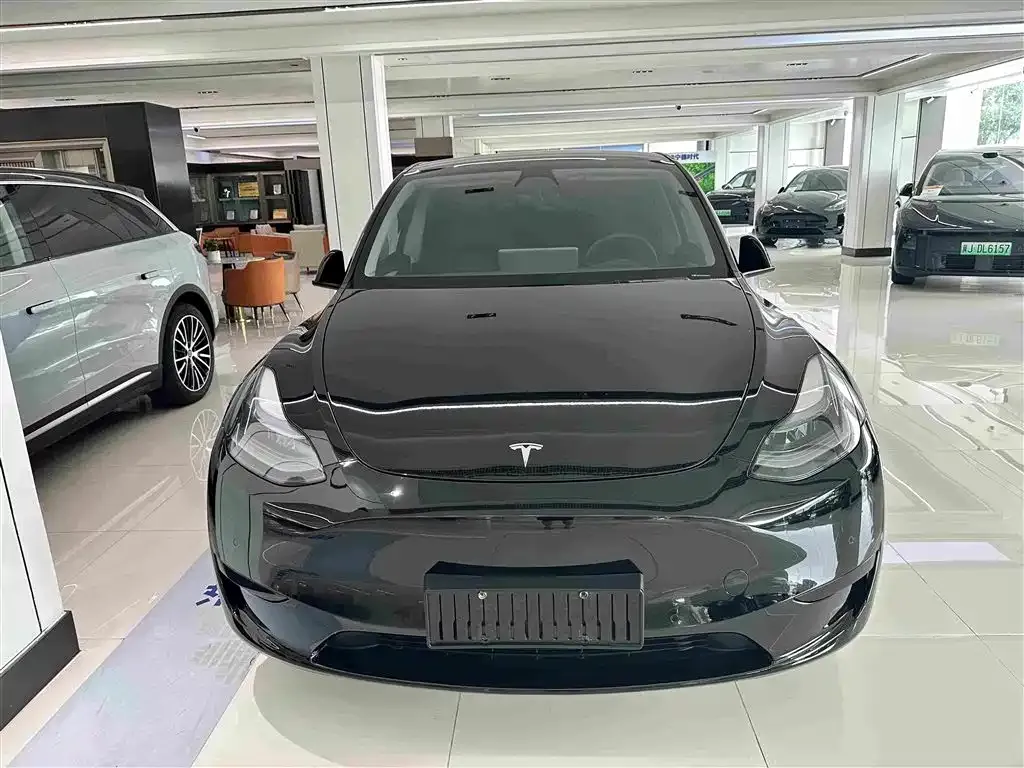 Tesla Model Y — фото 10