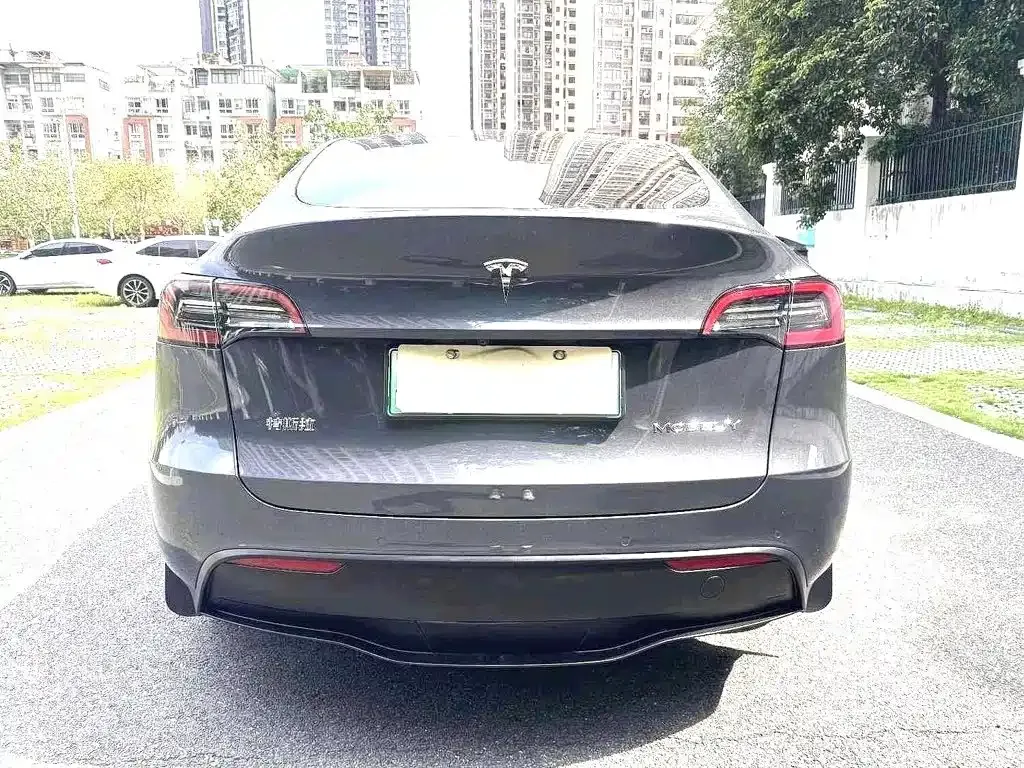 Tesla Model Y — фото 5