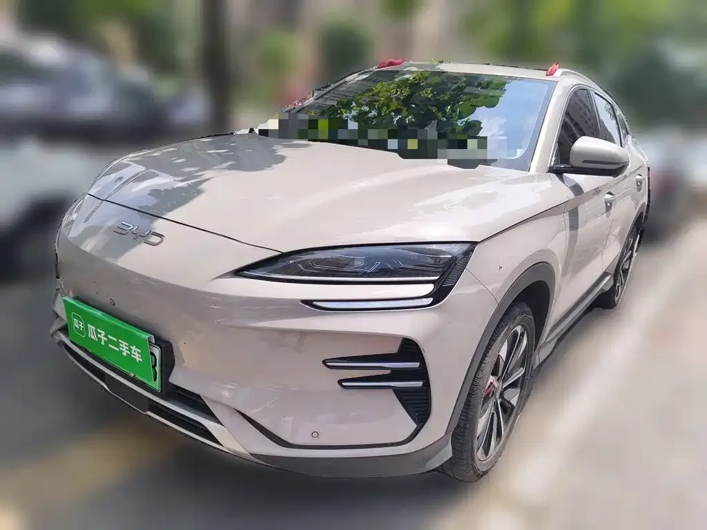 BYD PLUS New Energy — фото 2