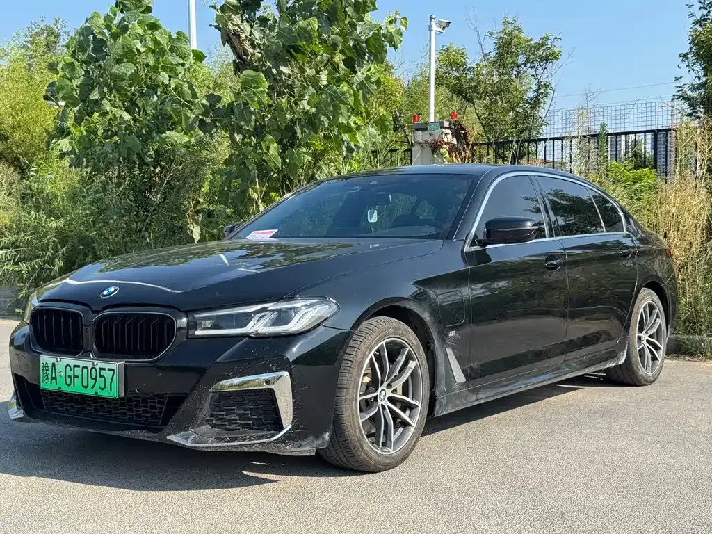 BMW 5 Series New Energy 2021 из CN, фото 8