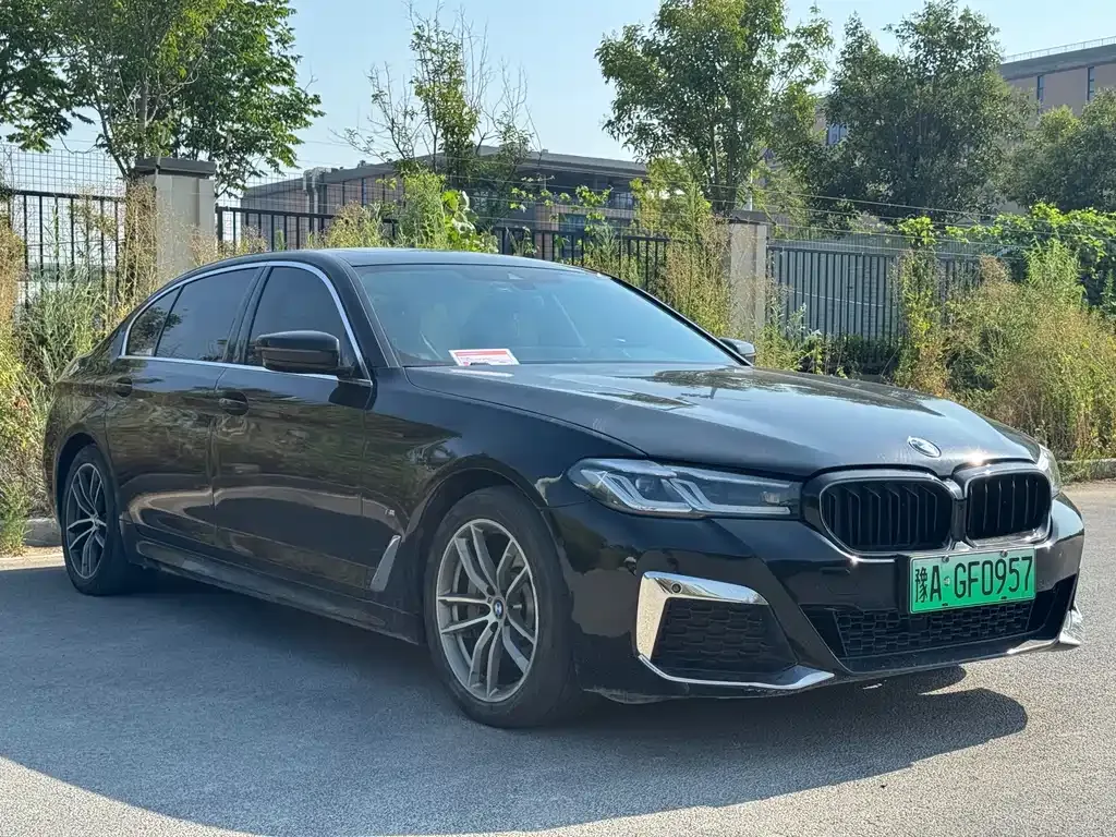 BMW 5 Series New Energy 2021 из CN, фото 7