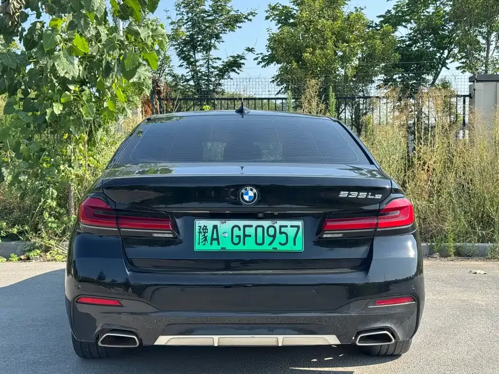 BMW 5 Series New Energy 2021 из CN, фото 10