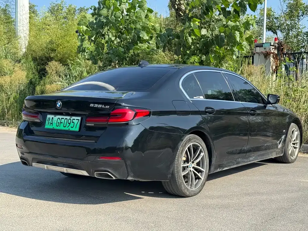 BMW 5 Series New Energy 2021 из CN, фото 6