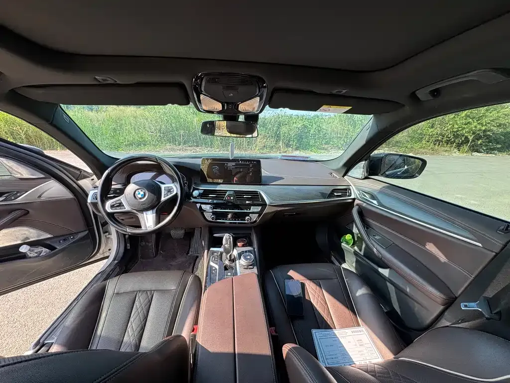 BMW 5 Series New Energy 2021 из CN, фото 4