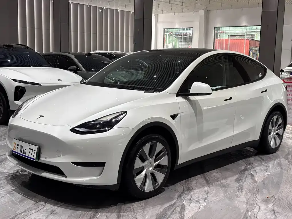 Tesla Model Y — фото 10