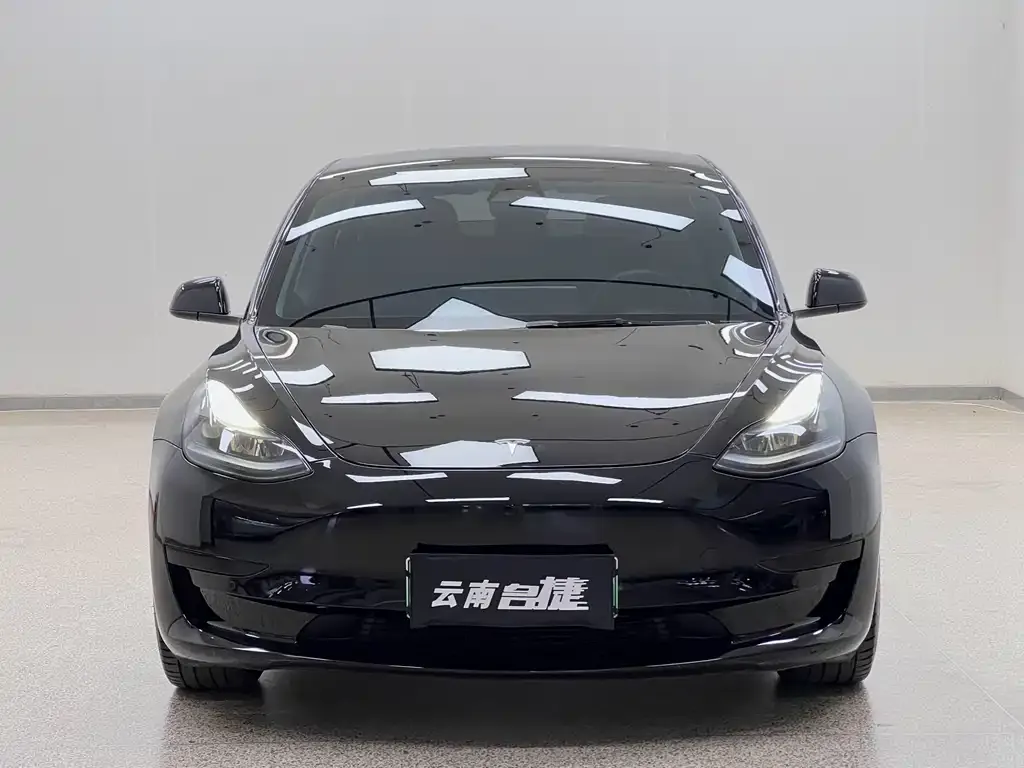 Tesla Model 3 — фото 3
