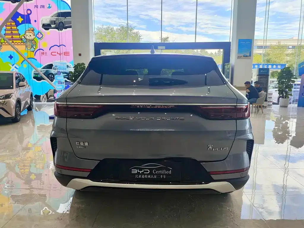 BYD PLUS New Energy — фото 4