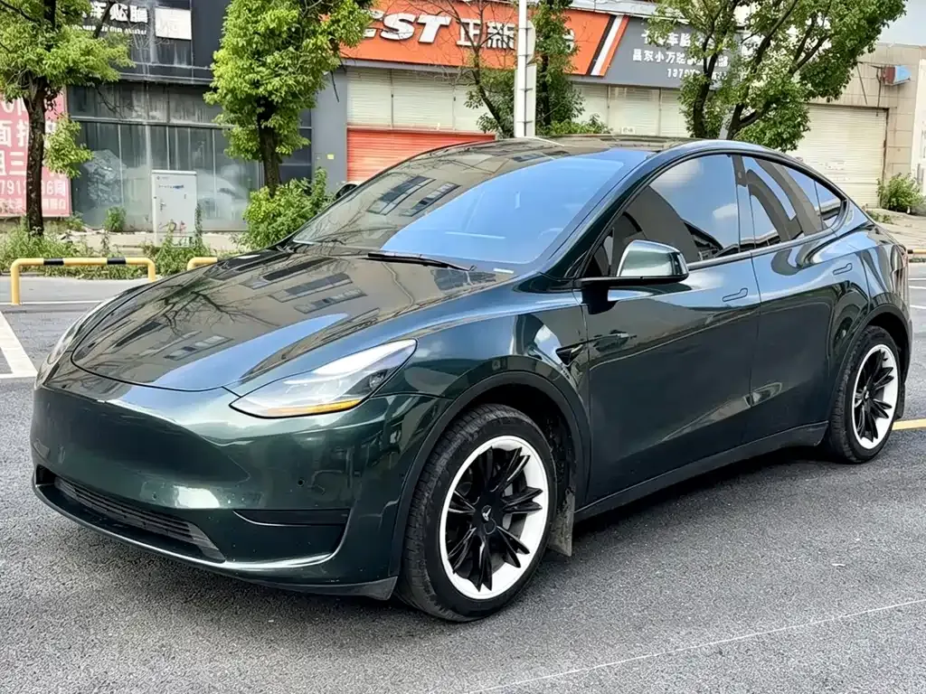 Tesla Model Y — фото 1