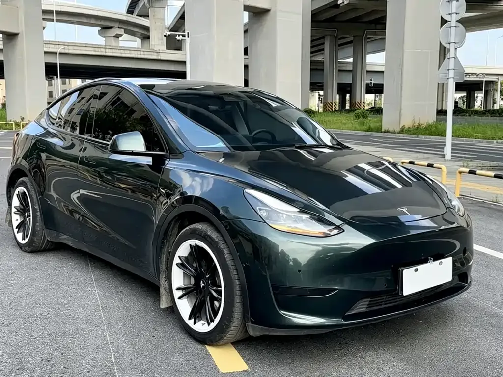 Tesla Model Y — фото 10