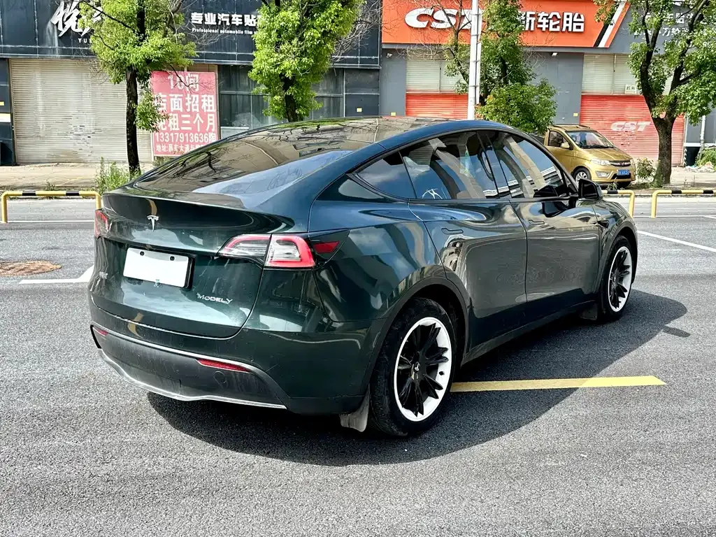 Tesla Model Y — фото 9