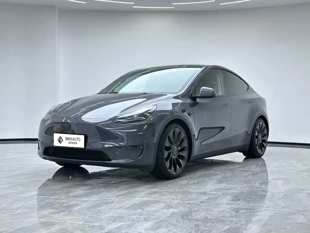 Tesla Model Y — фото 1