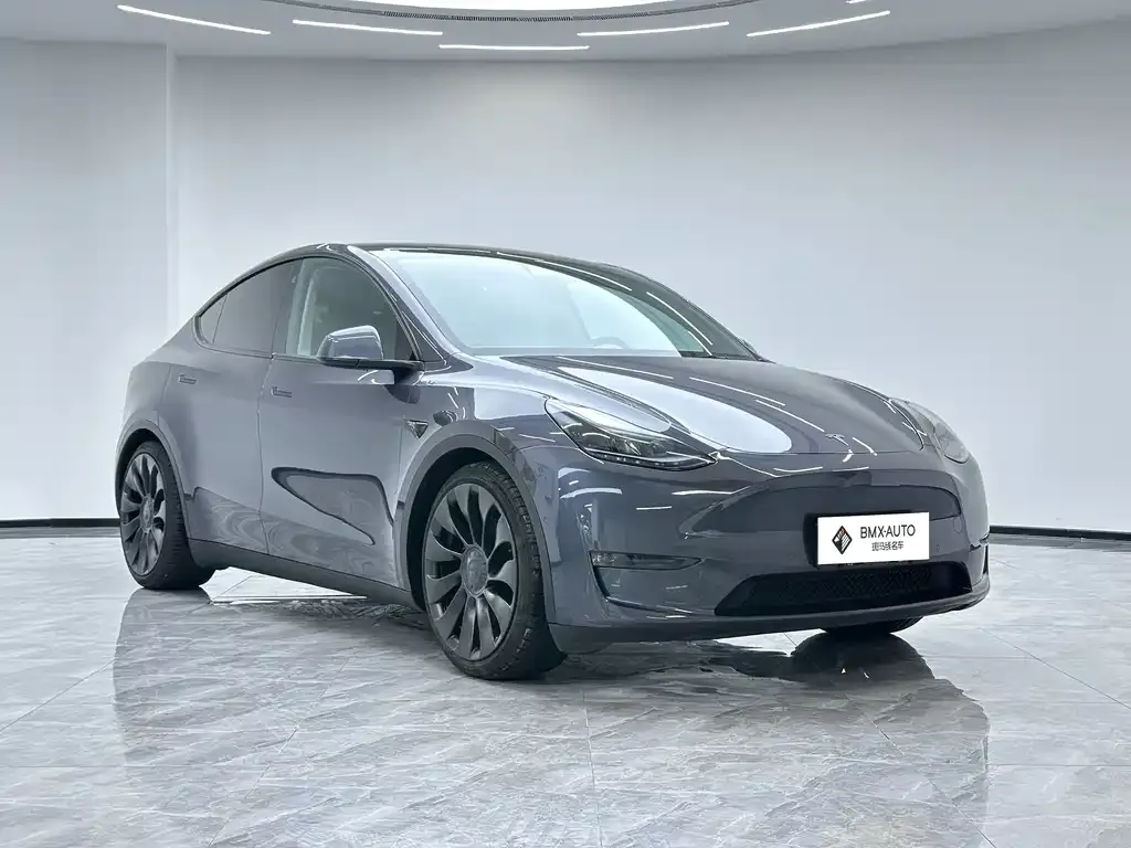 Tesla Model Y — фото 10