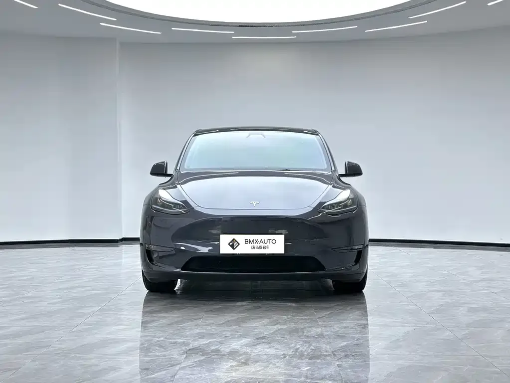 Tesla Model Y — фото 7
