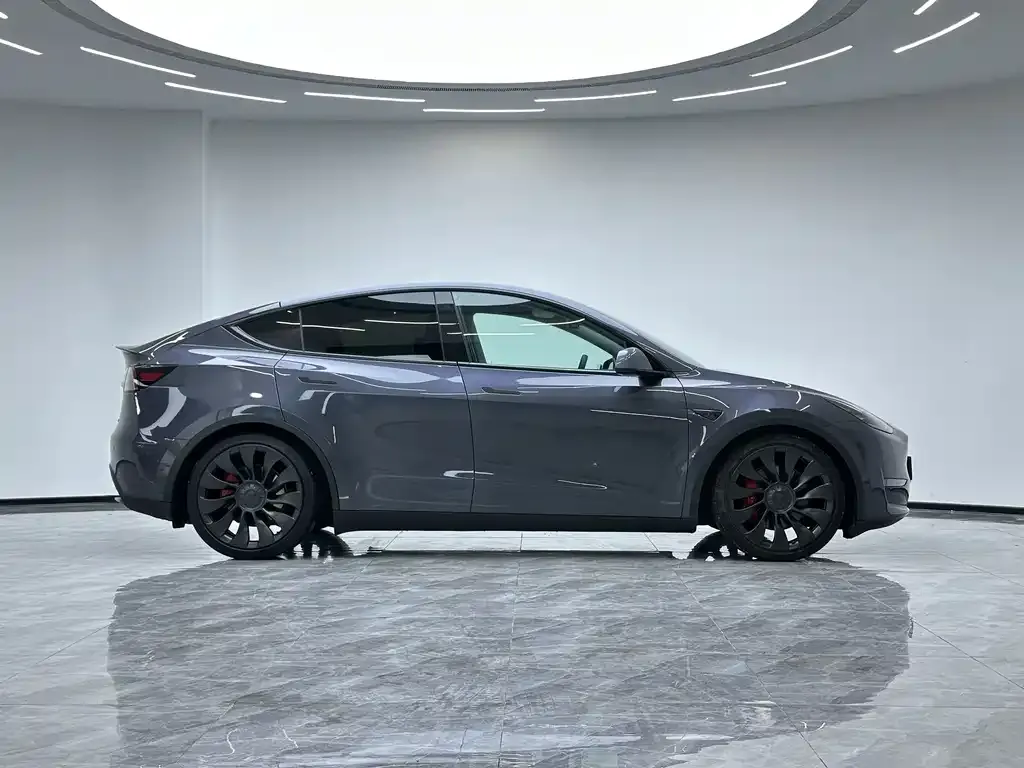 Tesla Model Y — фото 8