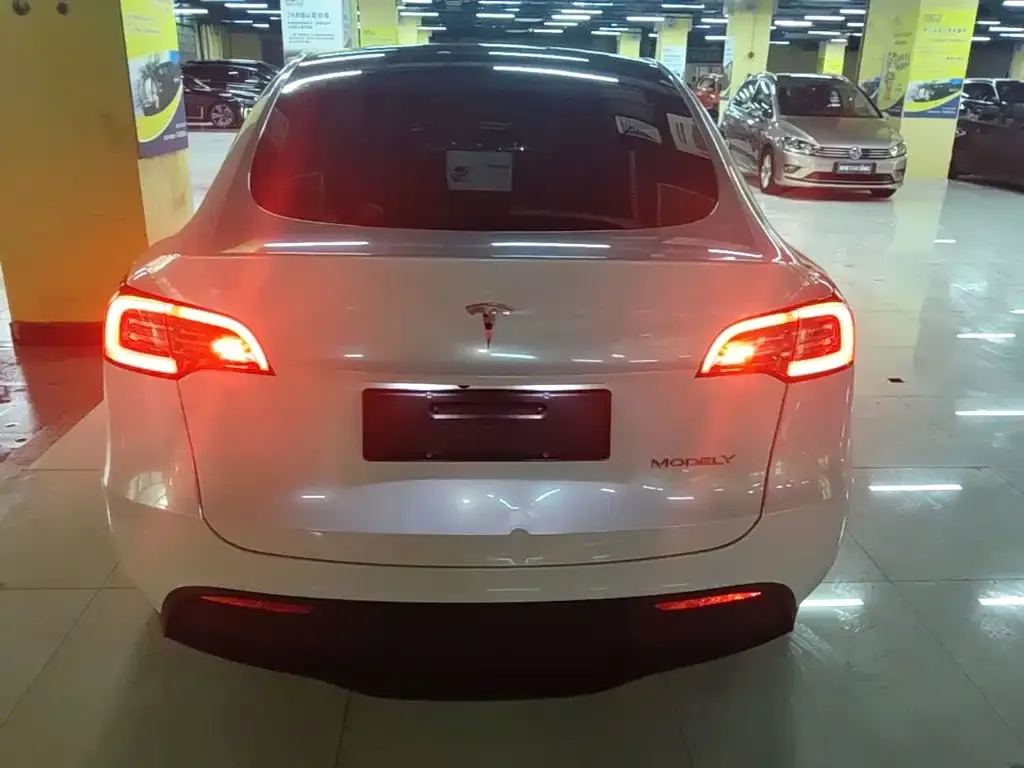 Tesla Model Y — фото 3